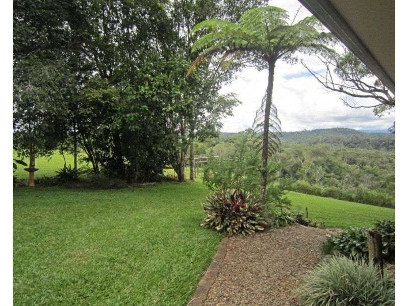 Lake Eacham QLD 4884