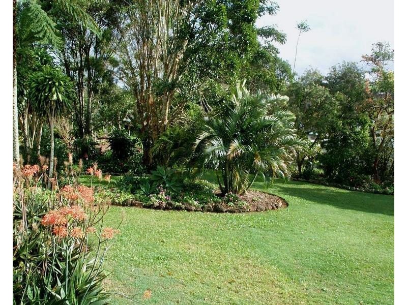 12 Wattle Close, Yungaburra QLD 4884