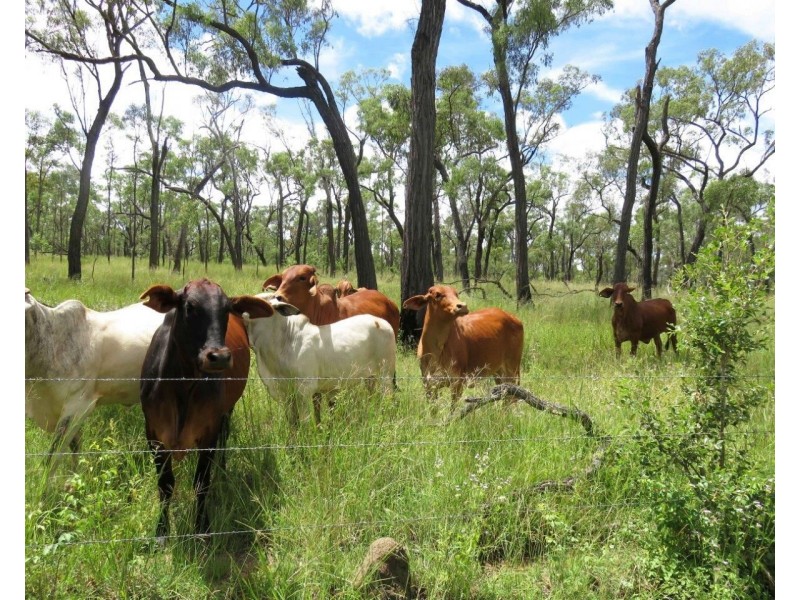 Mount Garnet QLD 4872