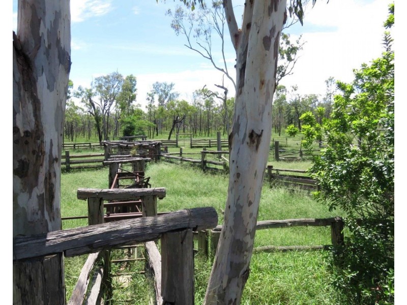 Mount Garnet QLD 4872