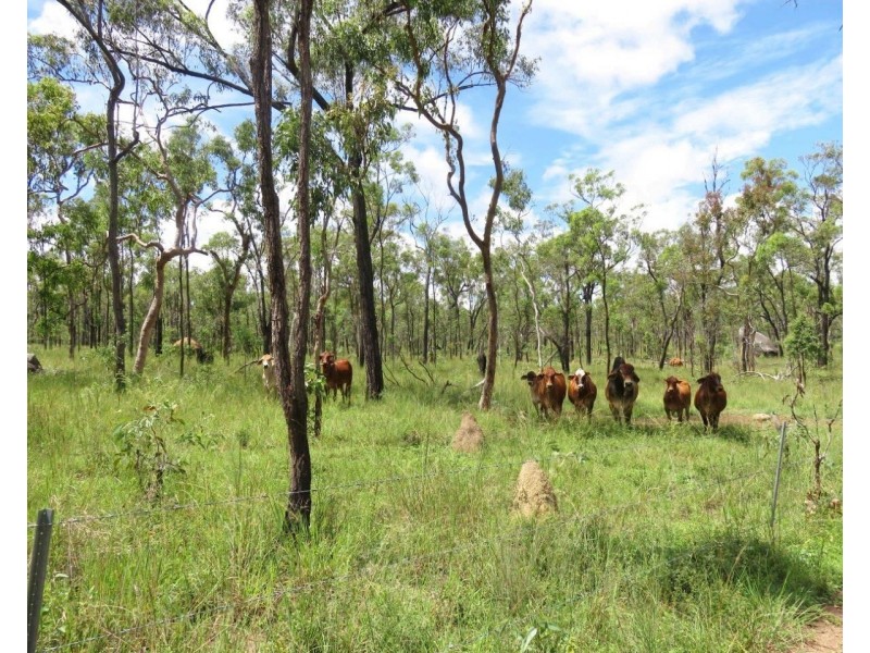 Mount Garnet QLD 4872