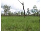 Mount Garnet QLD 4872