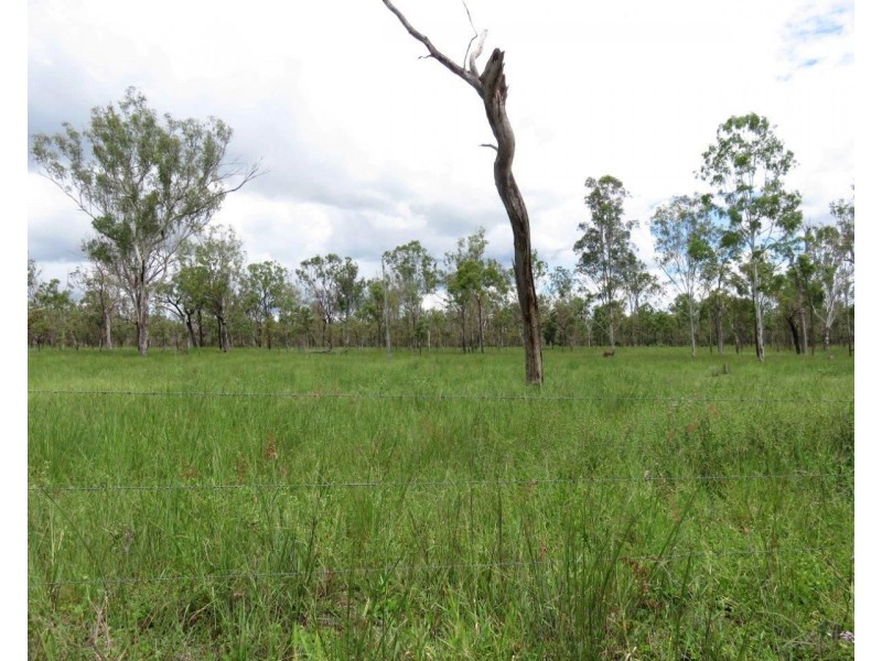Mount Garnet QLD 4872