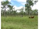 Mount Garnet QLD 4872