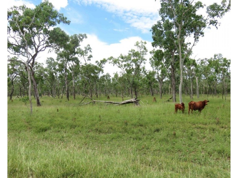 Mount Garnet QLD 4872