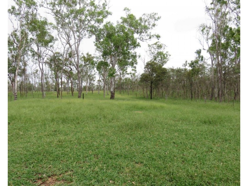 Mount Garnet QLD 4872