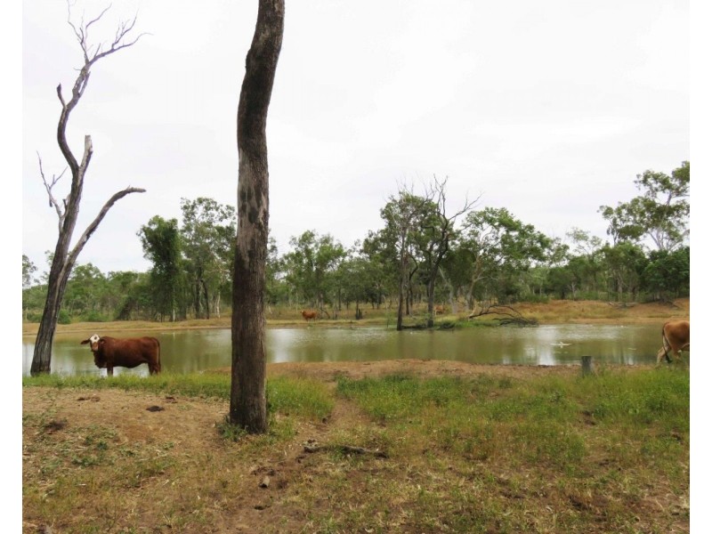 Dimbulah QLD 4872