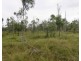 Dimbulah QLD 4872