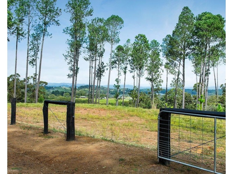 1/41 Henderson Road, Yungaburra QLD 4884