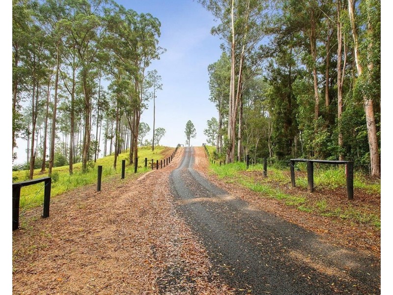 1/41 Henderson Road, Yungaburra QLD 4884