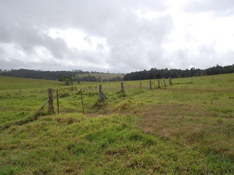 Upper Barron QLD 4883