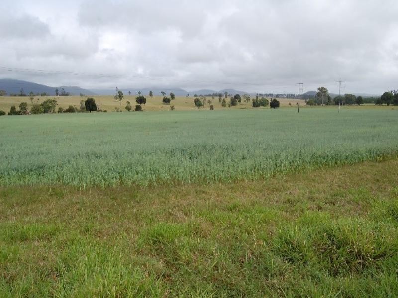 Upper Barron QLD 4883