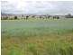 Upper Barron QLD 4883