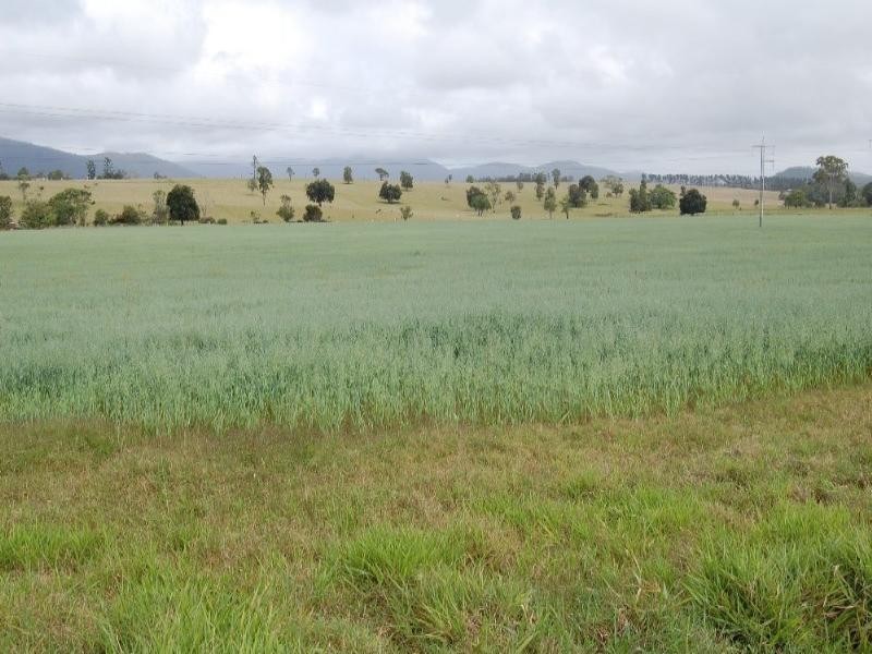 Upper Barron QLD 4883