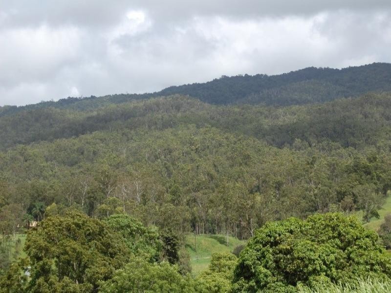 Upper Barron QLD 4883