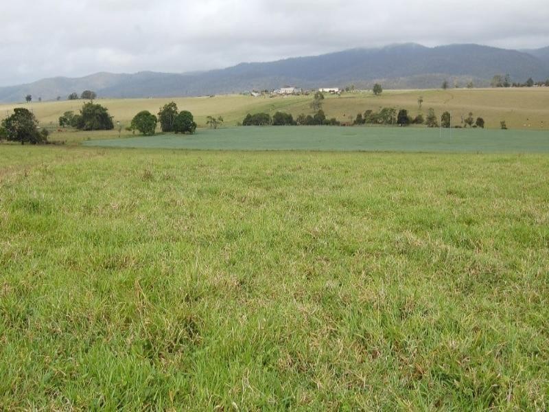 Upper Barron QLD 4883