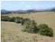 Julatten QLD 4871