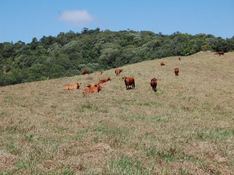 Julatten QLD 4871