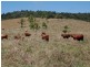 Julatten QLD 4871