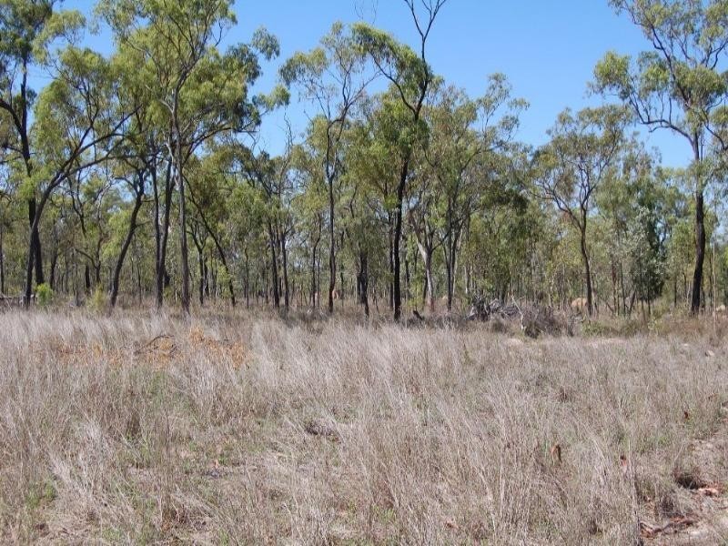 Mount Garnet QLD 4872