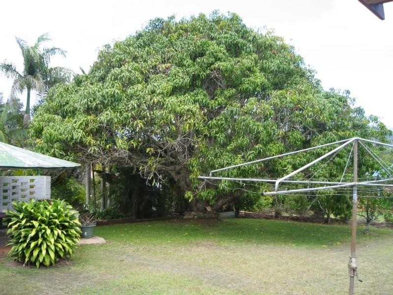 Atherton QLD 4883