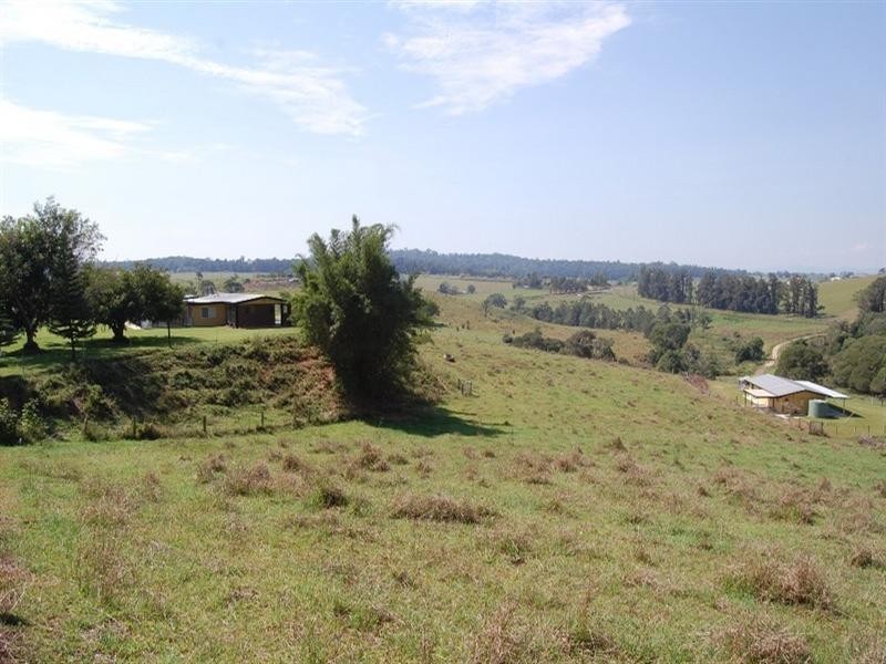 Yungaburra QLD 4884