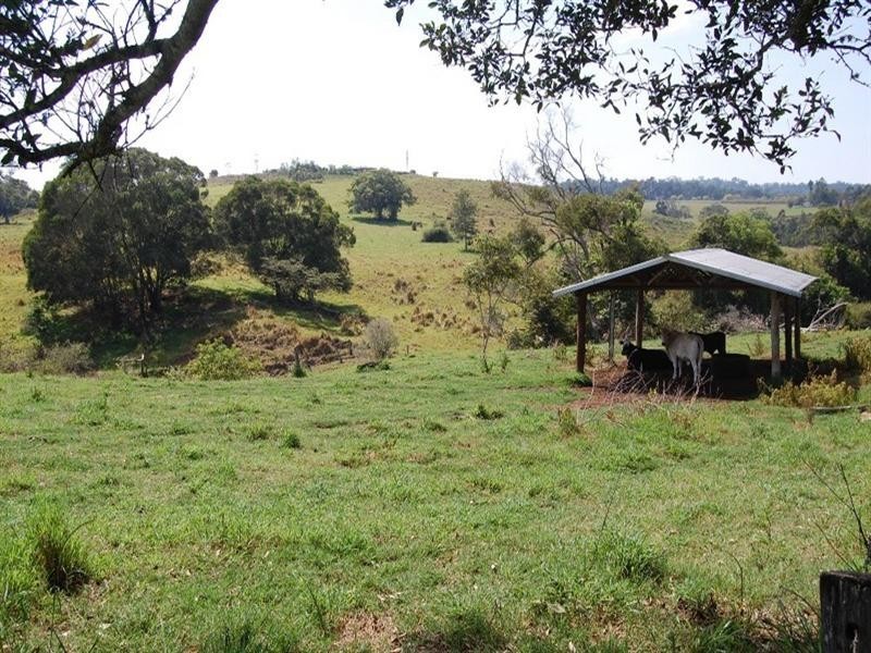 Yungaburra QLD 4884