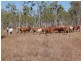 Mareeba QLD 4880