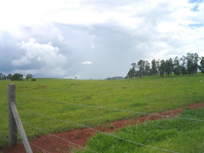 Lake Eacham QLD 4884