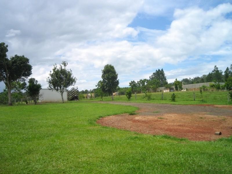 Lake Eacham QLD 4884