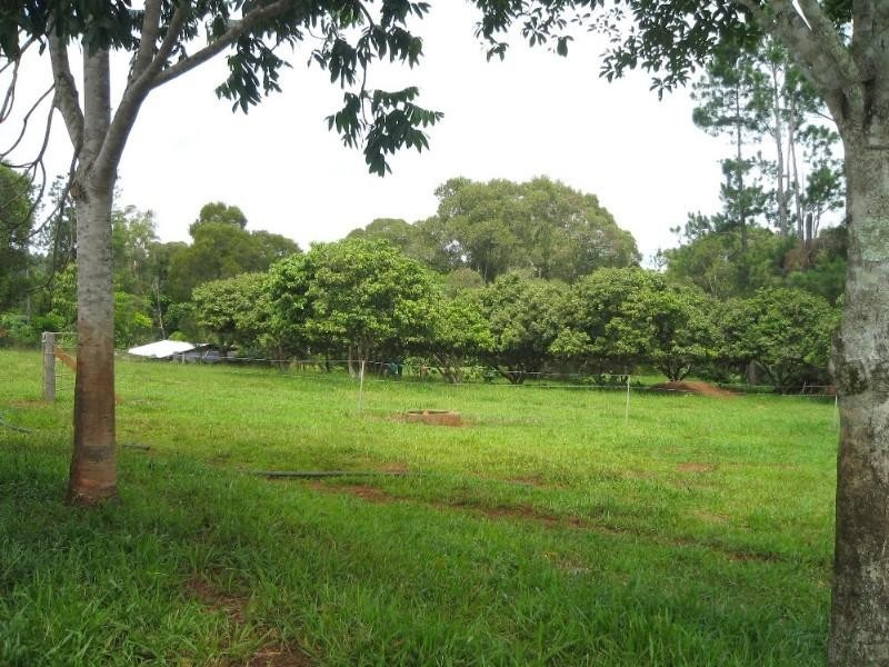 Lake Eacham QLD 4884