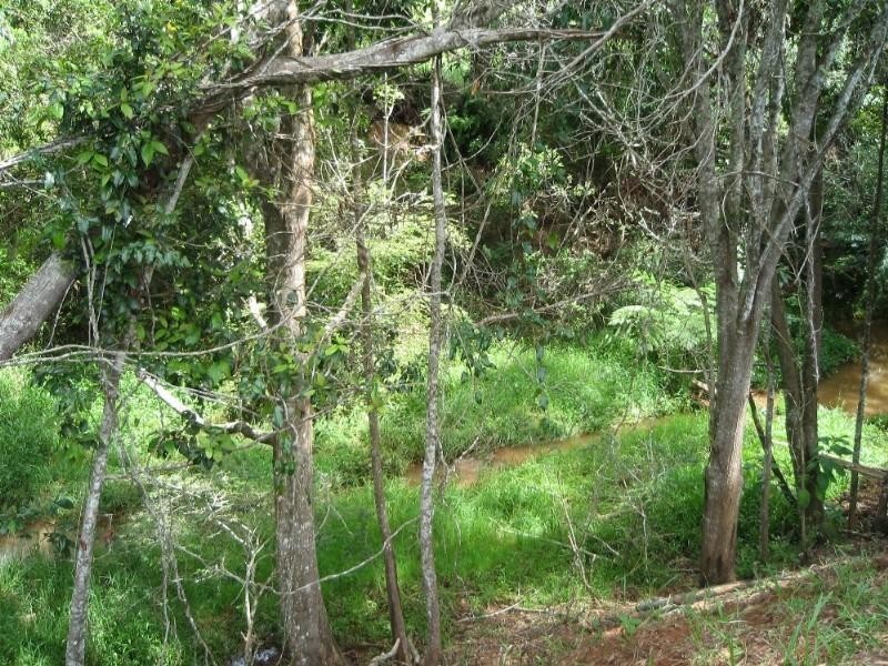 Lake Eacham QLD 4884