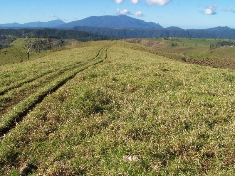 Millaa Millaa QLD 4886