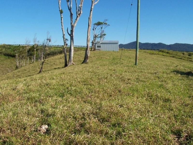 Millaa Millaa QLD 4886