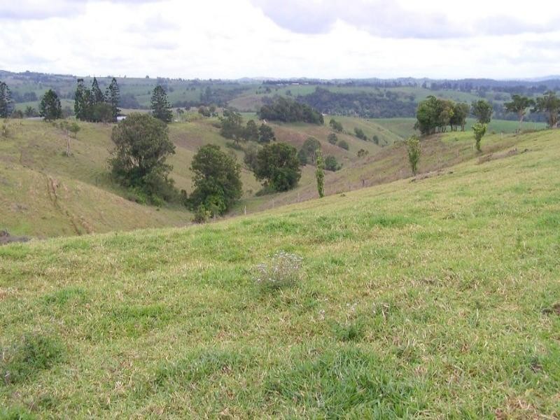 Millaa Millaa QLD 4886