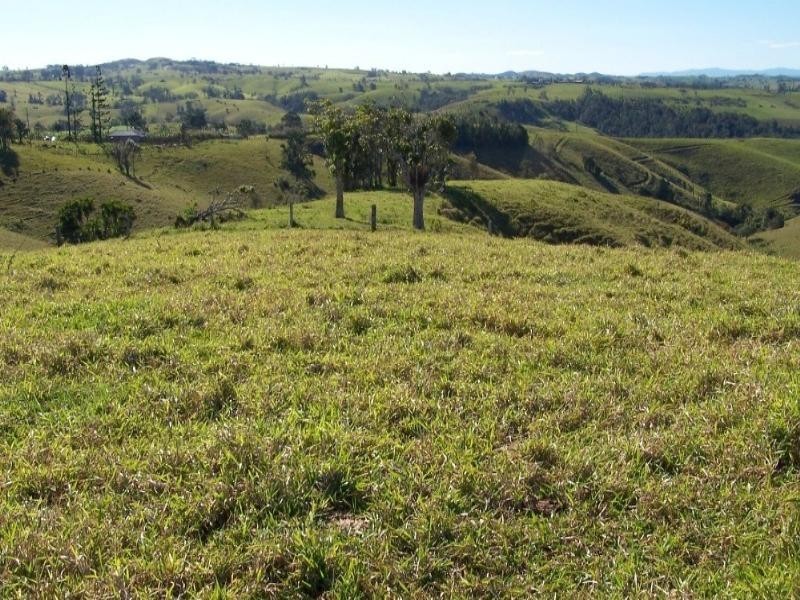 Millaa Millaa QLD 4886