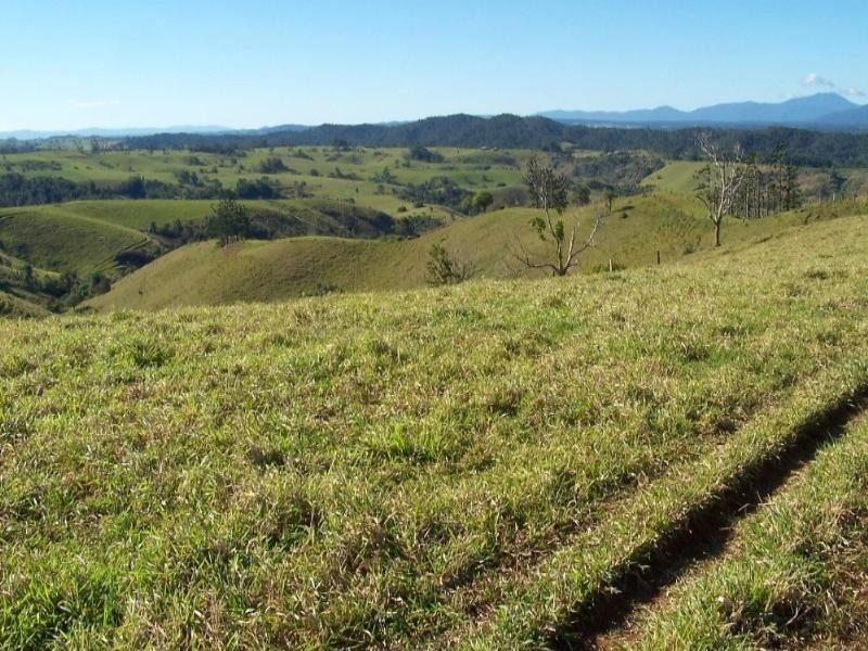 Millaa Millaa QLD 4886