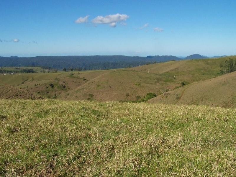 Millaa Millaa QLD 4886