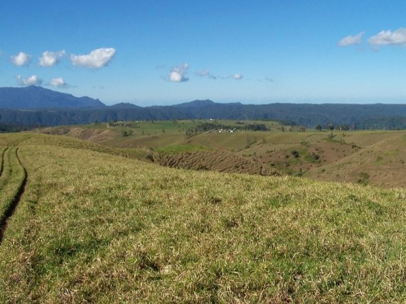 Millaa Millaa QLD 4886