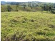 Millaa Millaa QLD 4886