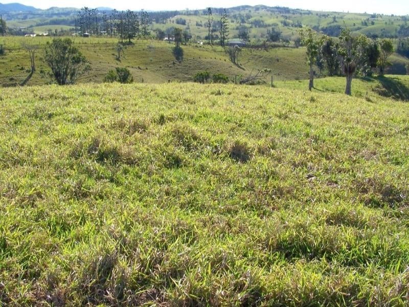 Millaa Millaa QLD 4886