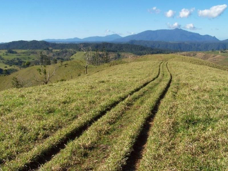 Millaa Millaa QLD 4886