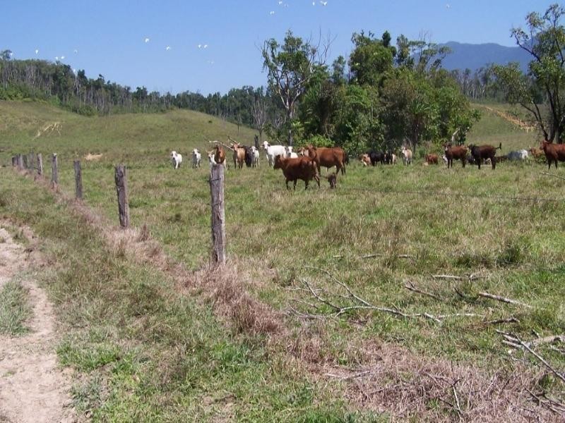 Woopen Creek QLD 4871