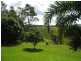 Yungaburra QLD 4884