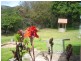 Herberton QLD 4887