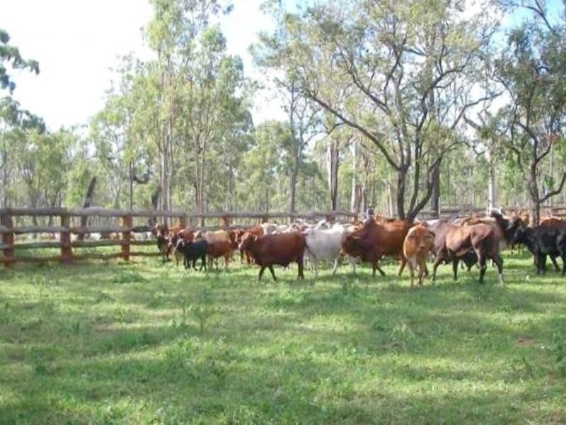 Mount Garnet QLD 4872