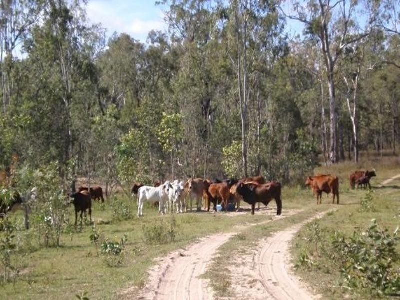 Mount Garnet QLD 4872