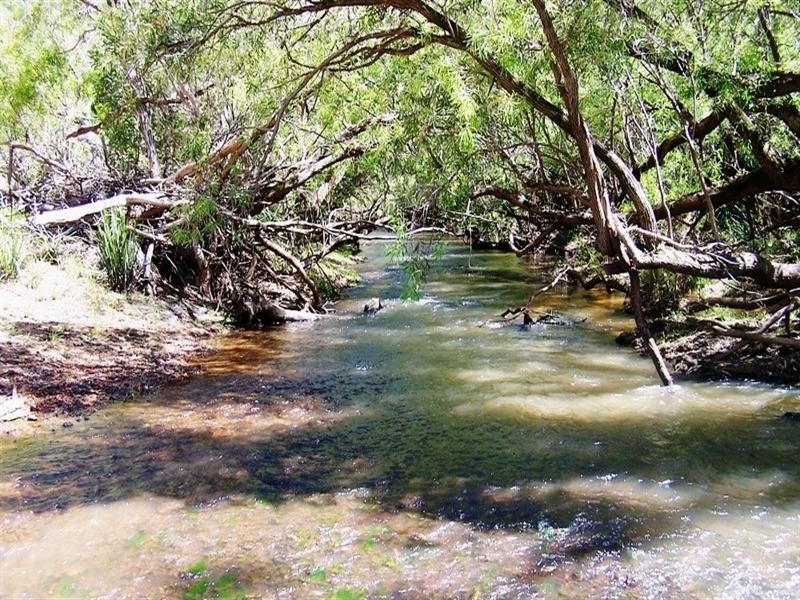 Innot Hot Springs QLD 4872