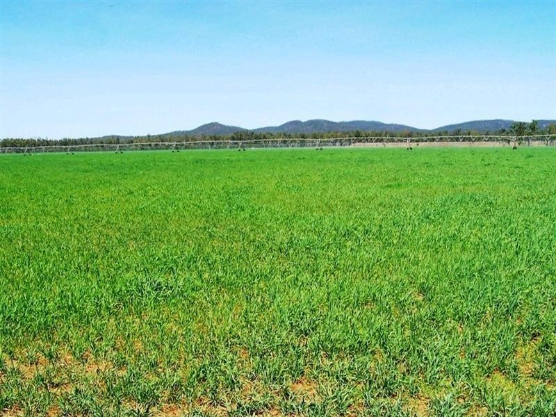 Innot Hot Springs QLD 4872