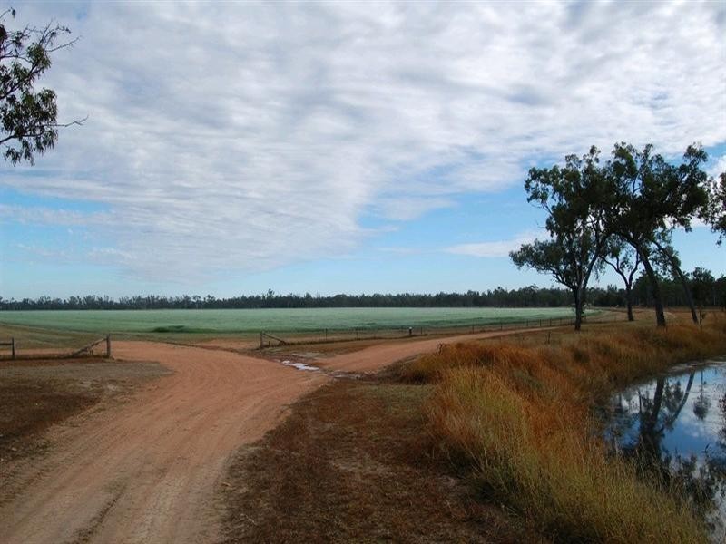 Innot Hot Springs QLD 4872